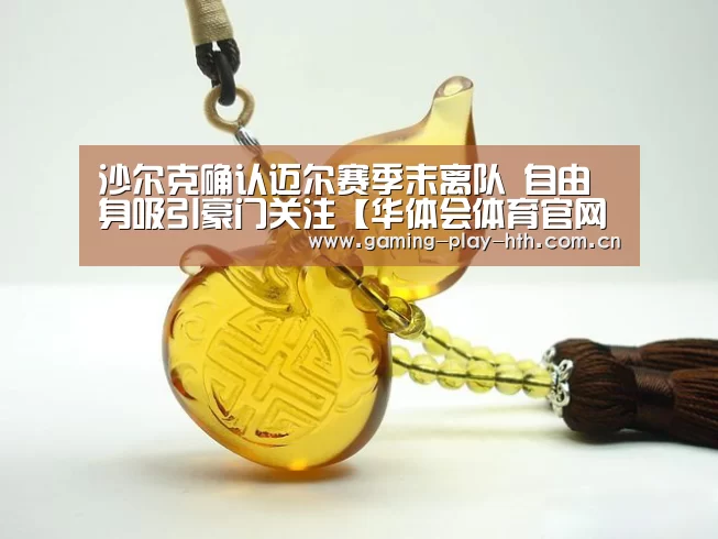 沙尔克确认迈尔赛季末离队 自由身吸引豪门关注【华体会体育官网入口】(图2) 华体会APP下载