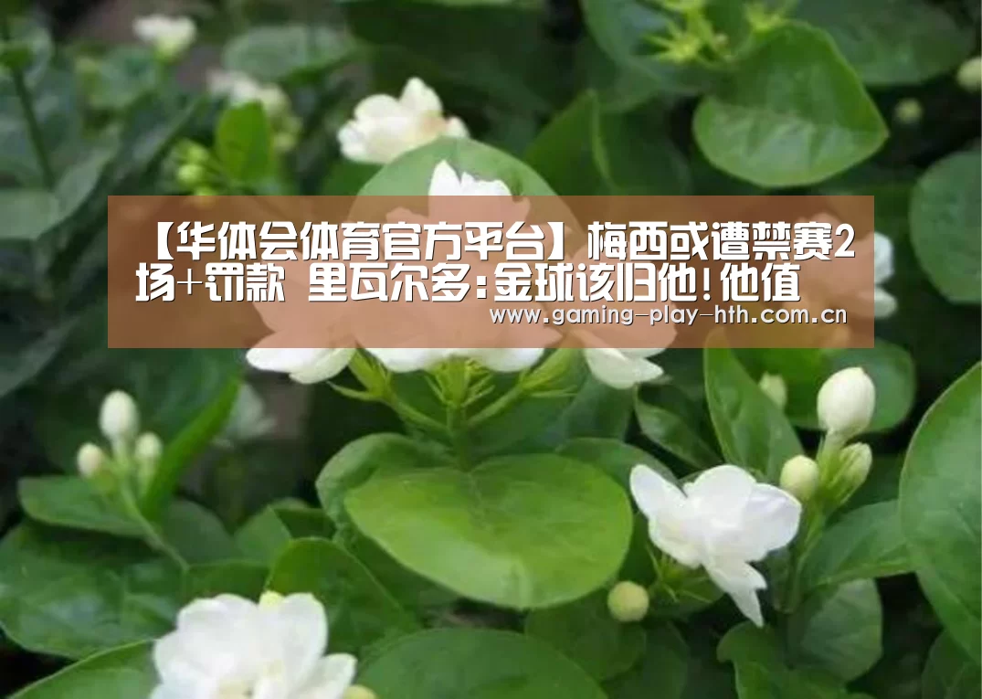 华体会体育官网入口