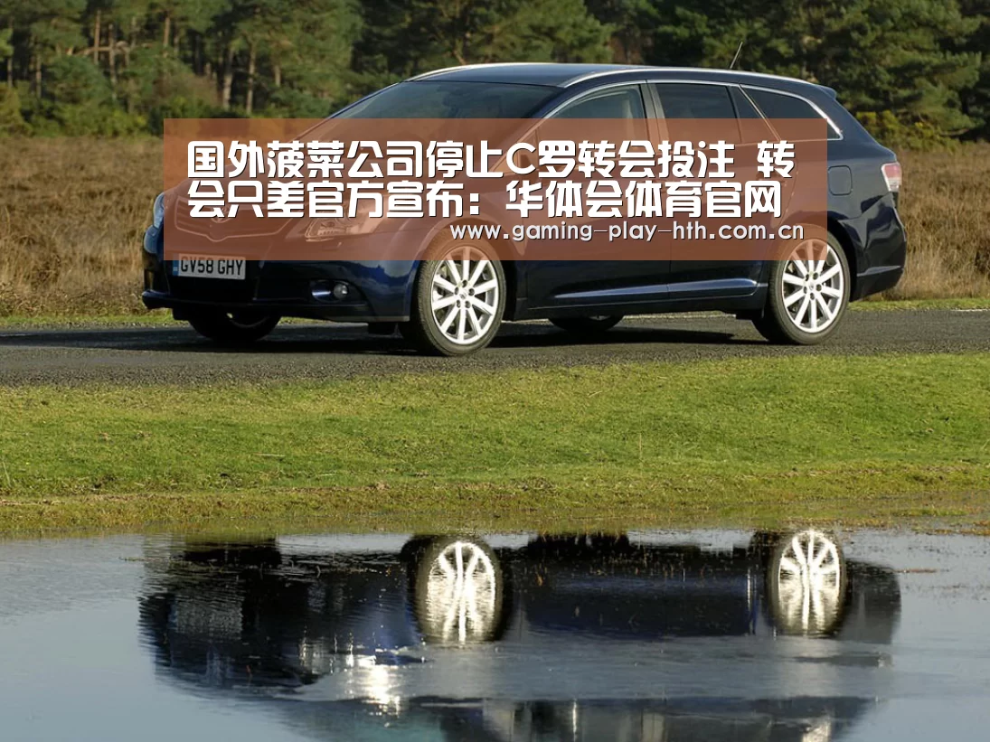 华体会体育APP下载官网