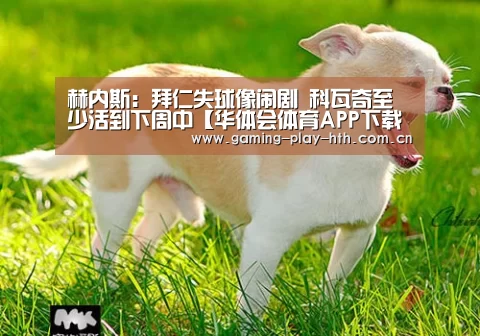 华体会体育官方平台