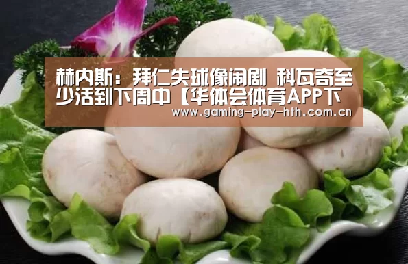 华体会APP下载